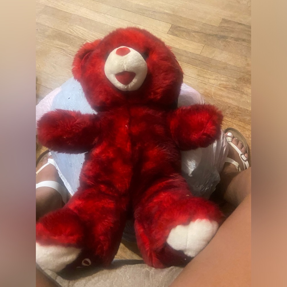 Red teddy bear